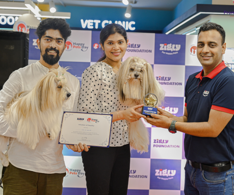 Instore Activity Four