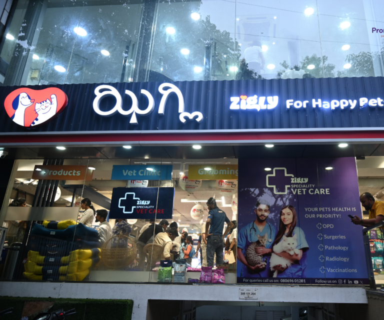 Retail Branding Thirteen